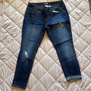 Time and Tru size 16 petite skinny